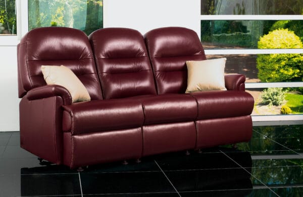 Keswick Small Leather Fixed 3-seater - Image 2