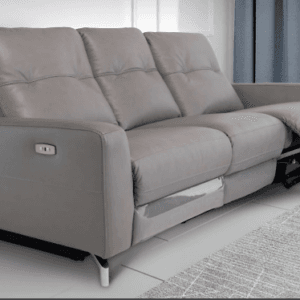 Leather suites