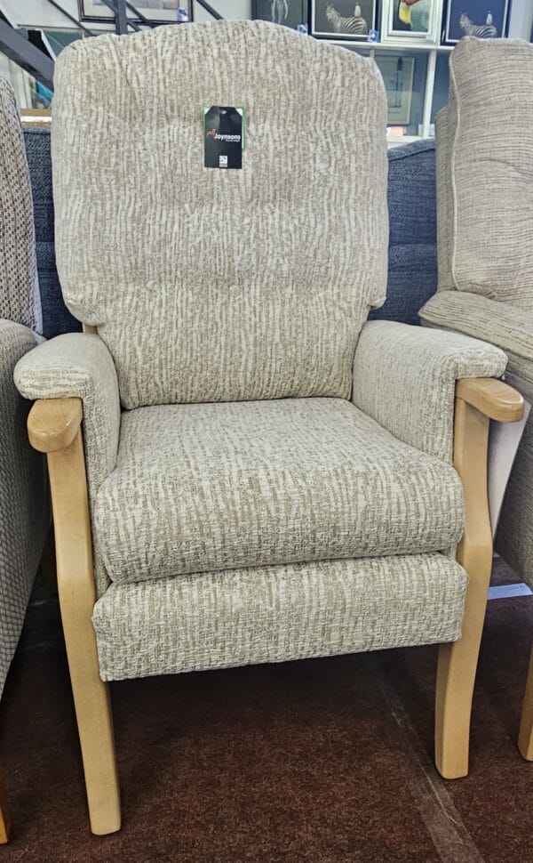 Display model - Aston high seat chair