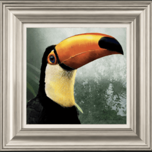 Colourful Toucan Wall-art